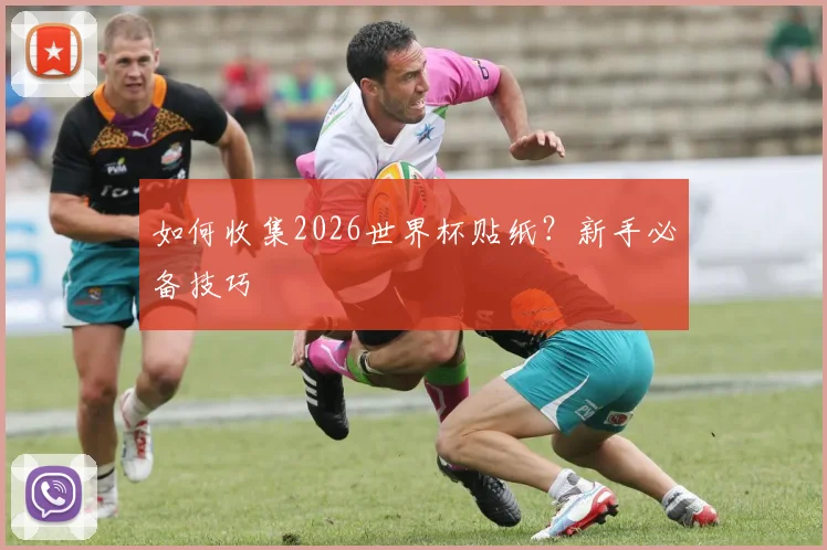 如何收集2026世界杯贴纸？新手必备技巧